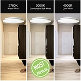 12inch/14inch flush mount light
